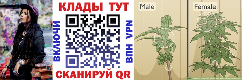 Что такое Первоуральск COCAIN  Мефедрон  Alpha-PVP  ГАШИШ 