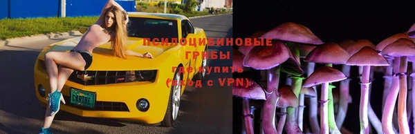 гидра Алексеевка