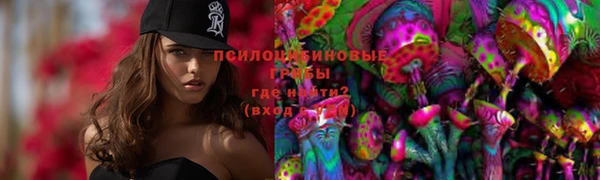 гидра Алексеевка