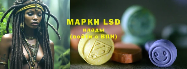 гидра Алексеевка