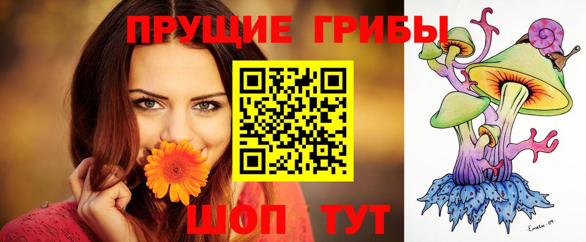 Псилоцибиновые грибы прущие грибы Первоуральск